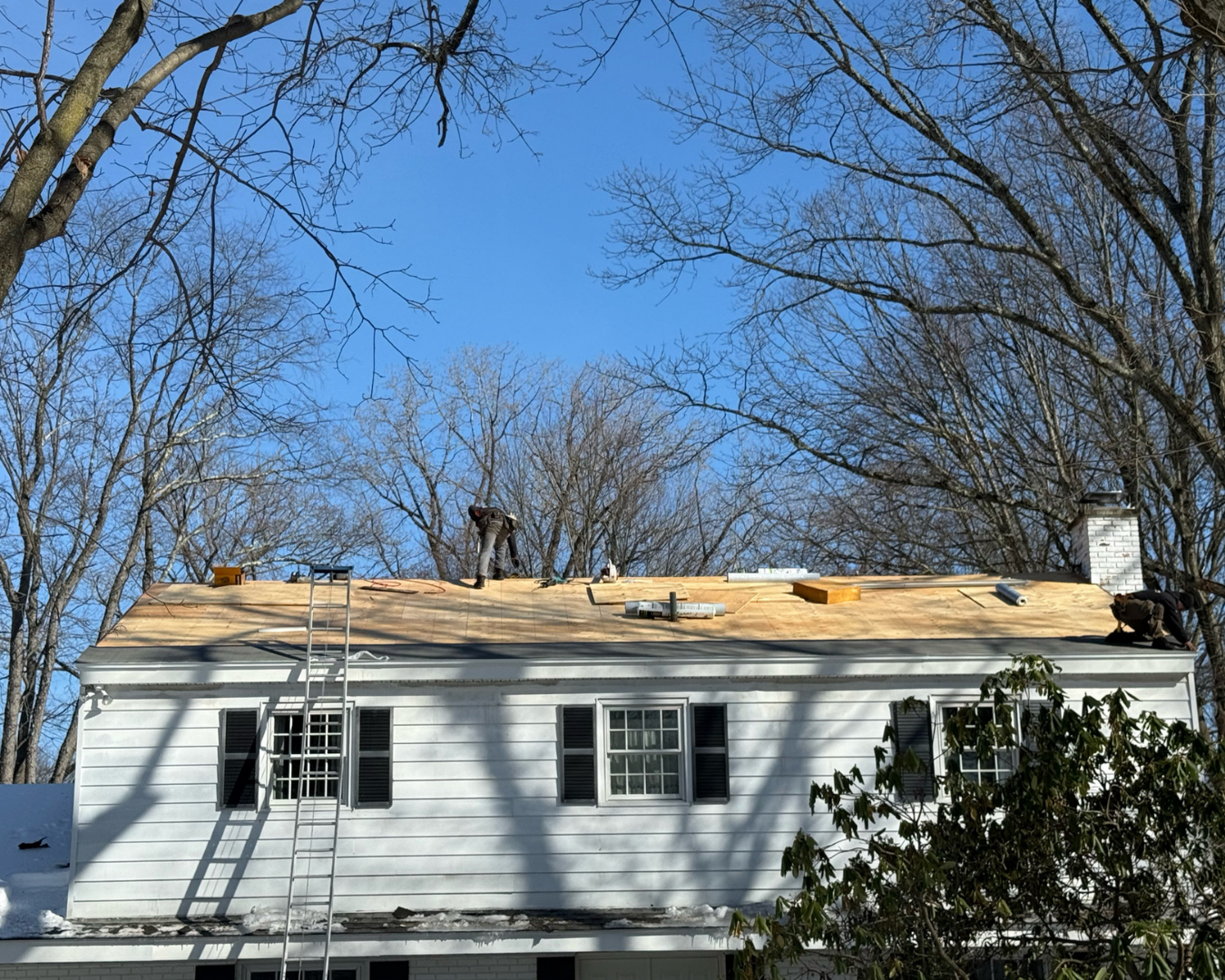 Insurance Claim Assistance